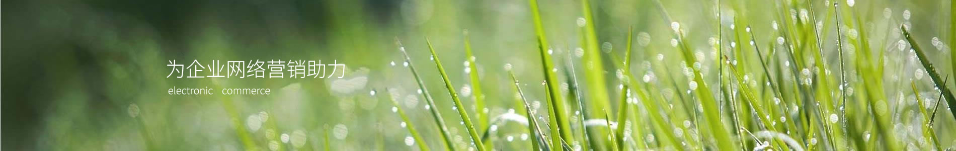 ൺǱ޹˾